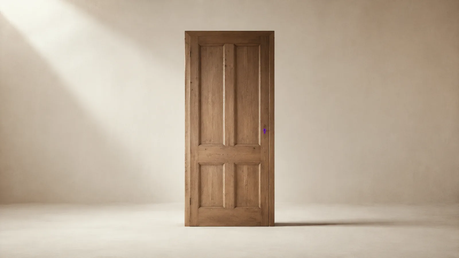 A wooden door standing alone in an empty room.