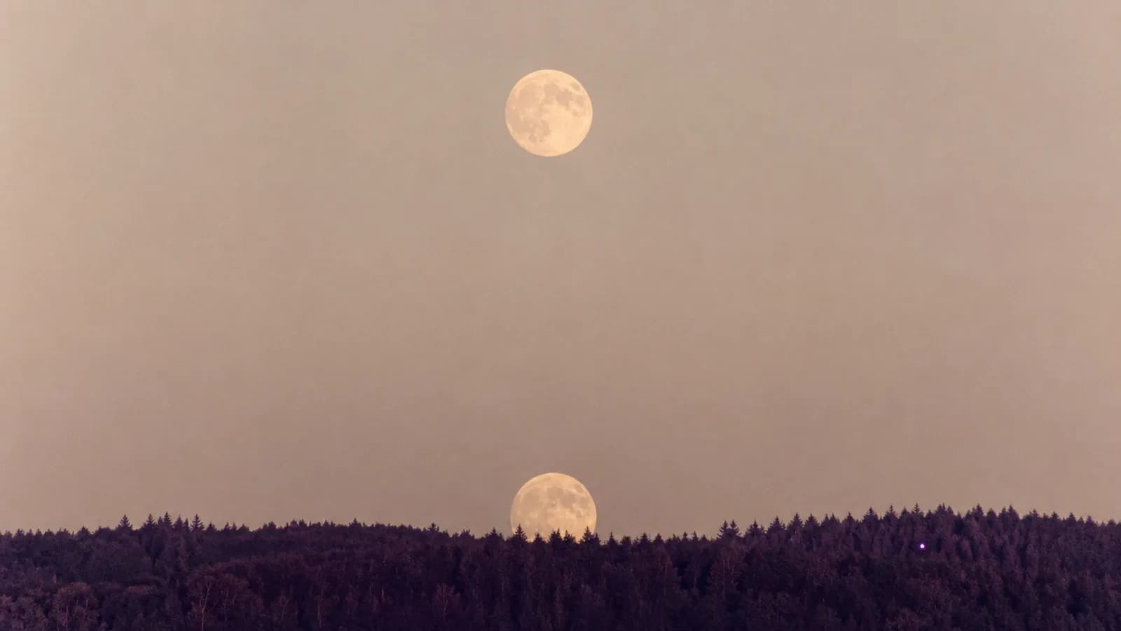 Two identical moons in one frame, one low behind trees and one high in empty sky.